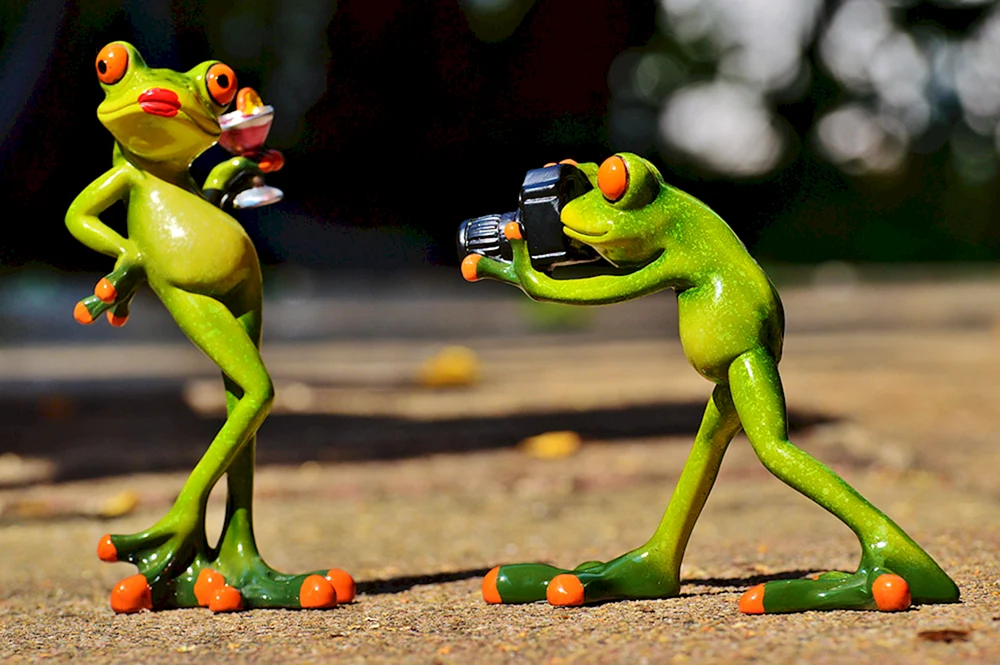 Kermit der Indie KID