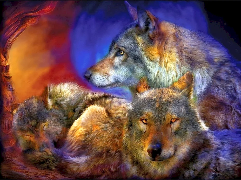 Carol Cavalaris Wolf