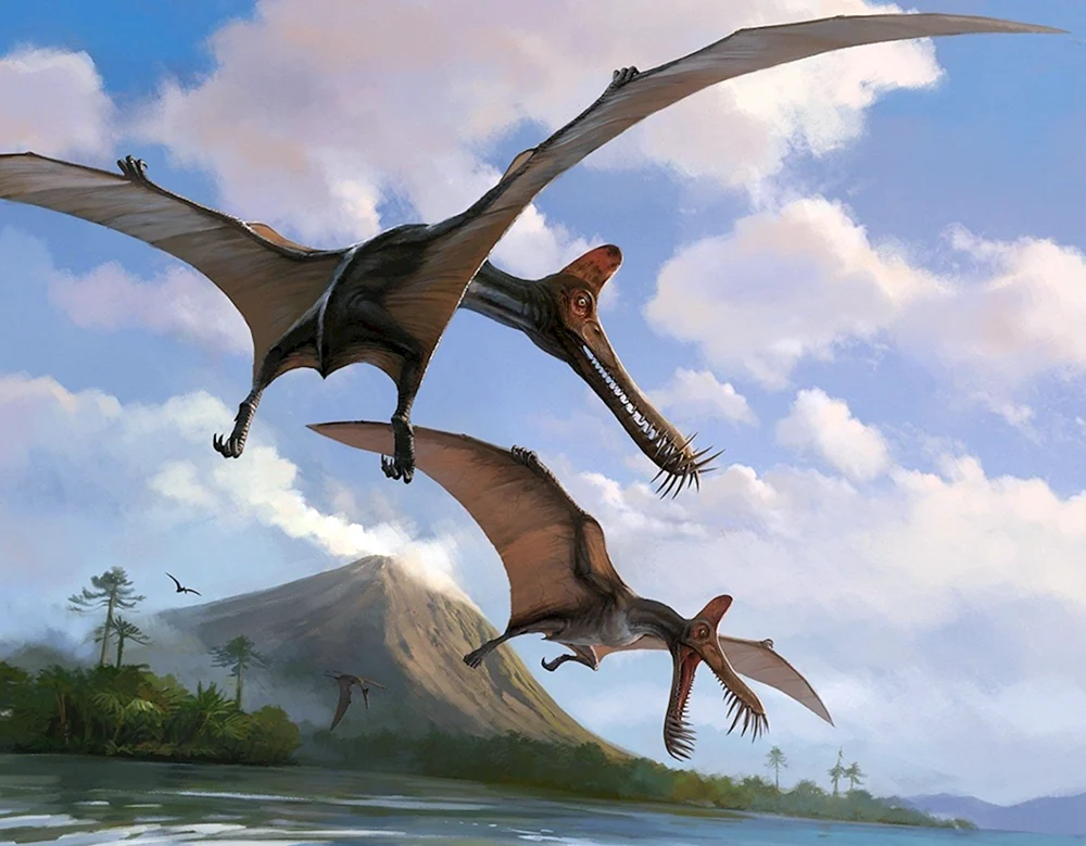 Jurassic Period pterodactyl
