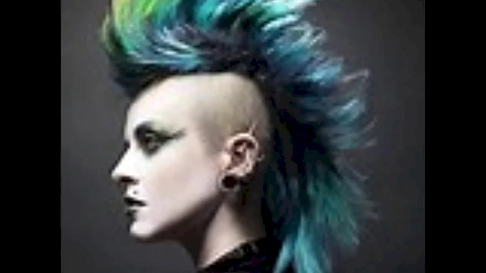 Frisuren für Punks