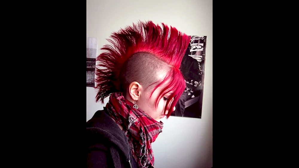 Frisuren für Punks