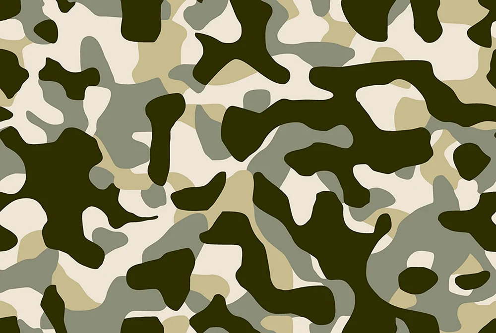 Militärischer Hintergrund