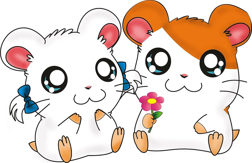 Anime Hamster