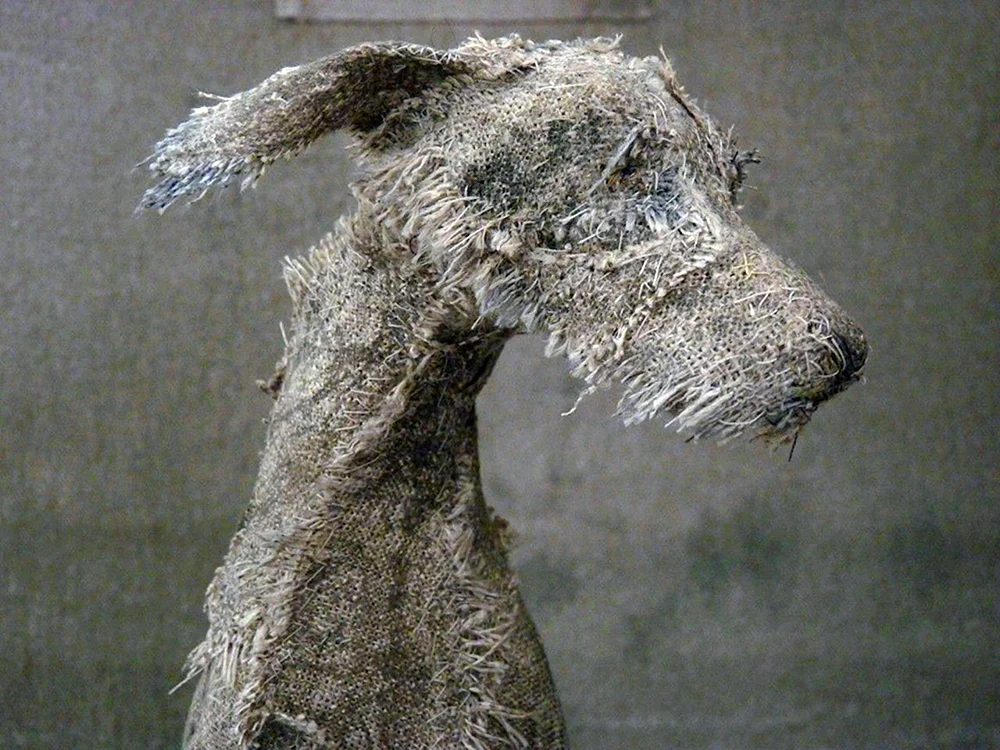 Ungarischer Schäferhund Commander