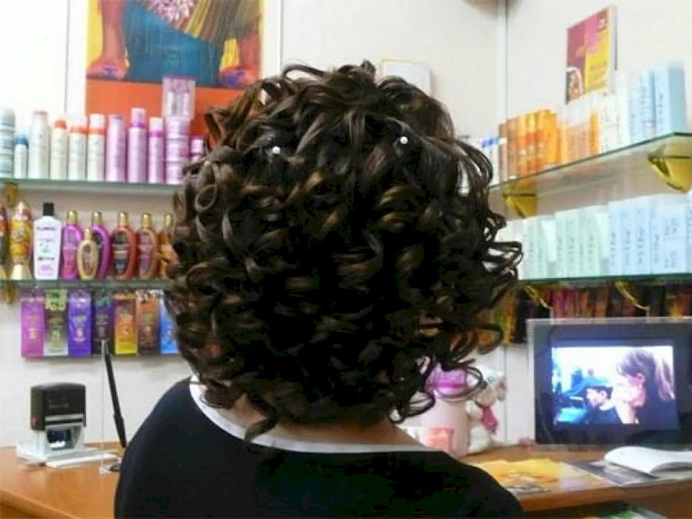 Bio curl 2023