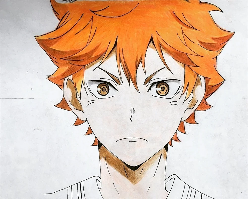 Anime-Volleyball haikyu