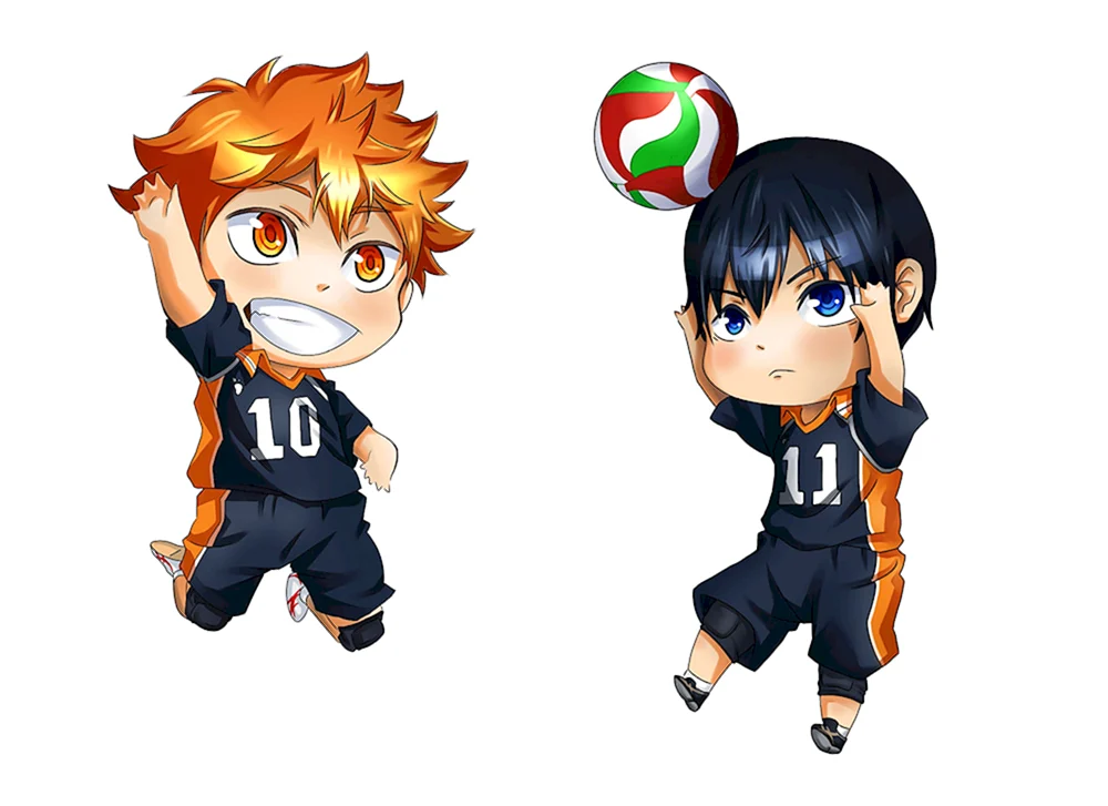 Hinata shoyo Chibi