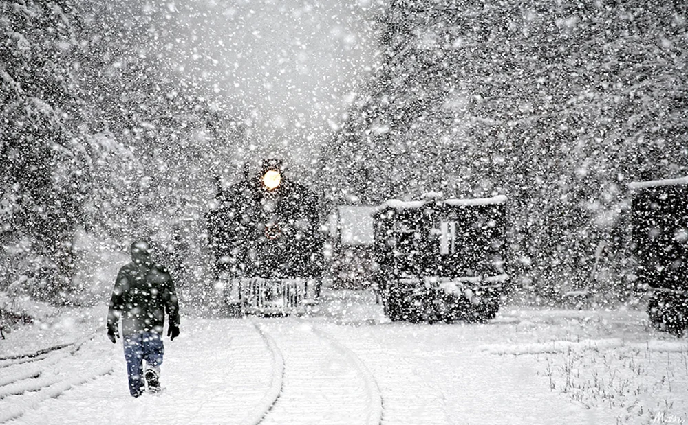 Fallende Schneeflocken