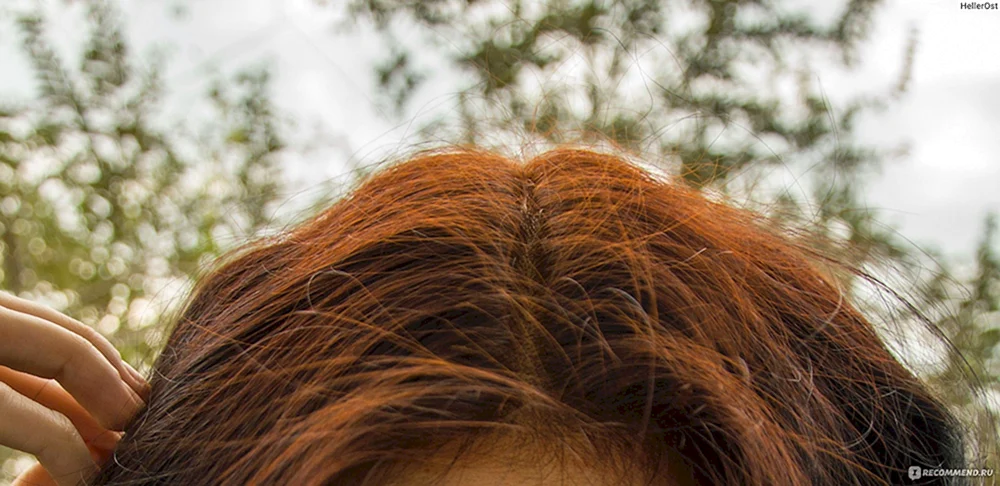 Kupfer Henna färben Haare