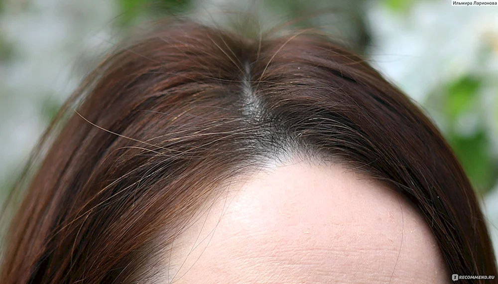 Henna färben graues Haar