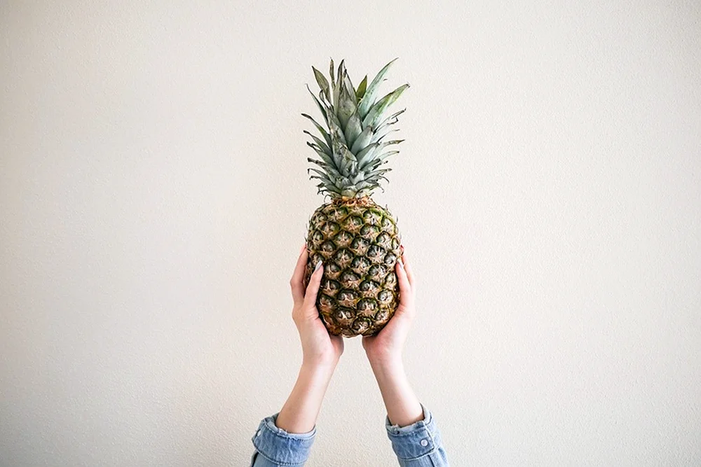 Hoya Meer Ananas