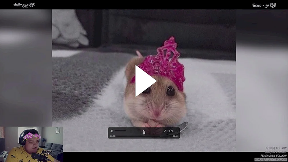 Süße Hamster