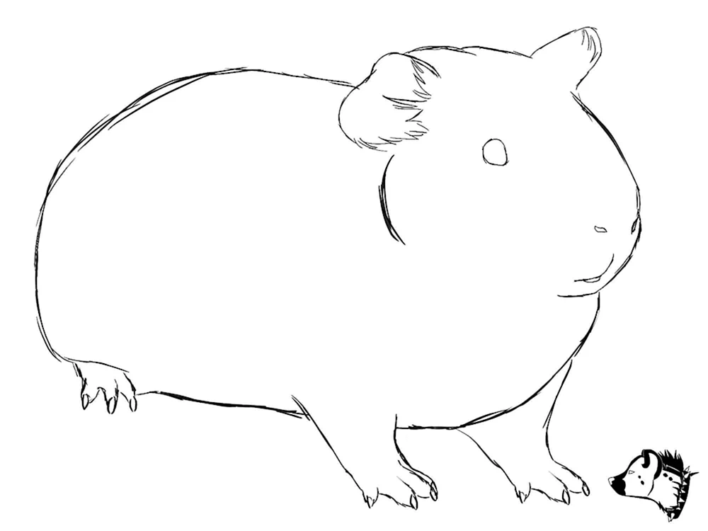 Jungarische Hamster