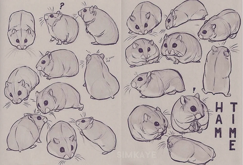 Hamsterskizze