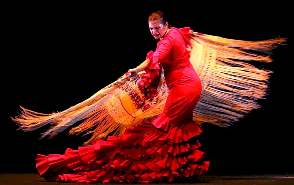 Julia Plams Flamenco