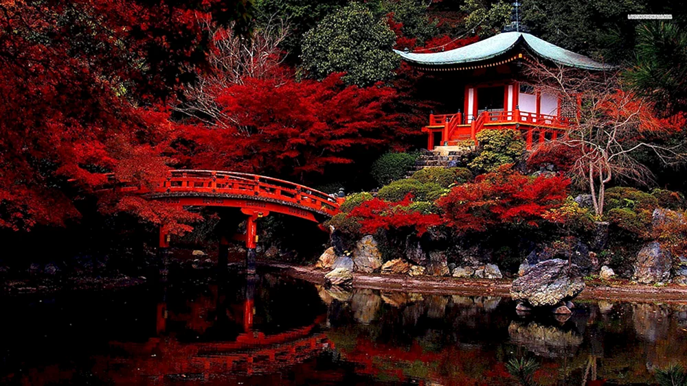 Daigo-Tempel in KyotoMangetsu HanamuraFuji-TempelJapan Samurai-Schloss SakuraSakura und FujiyamaTokyo Berg FujiyamaDaigo-Tempel in KyotoFujiyama Berg in JapanSeoul SakuraFujiyama Japan Tempel KyotoHimejima Insel in Japan Aburaya
