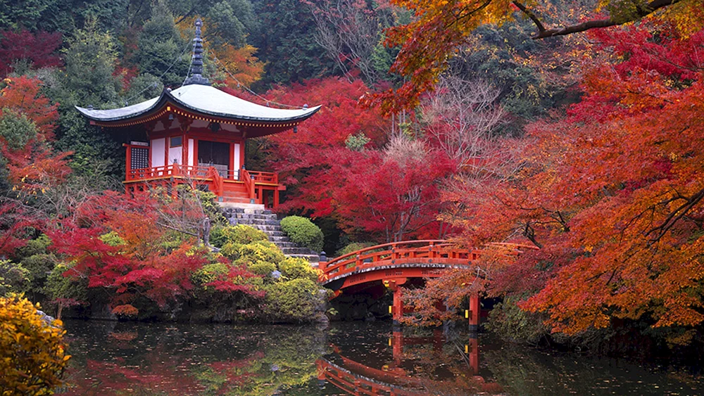 Seoul Sakurablüten