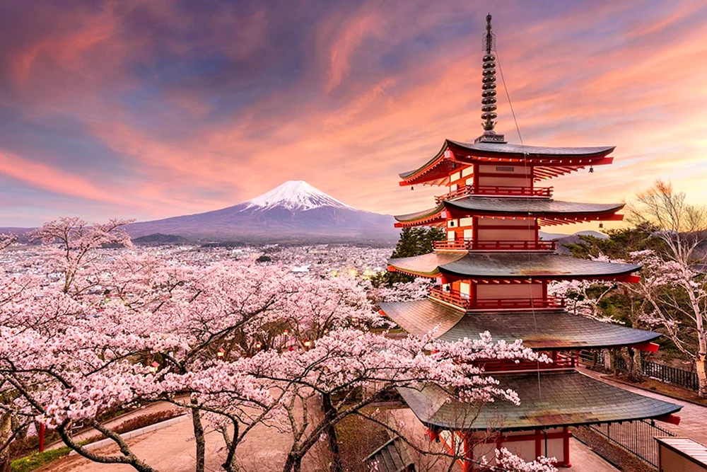 Kyoto Fujiyama