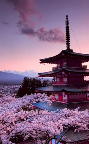Fuji-Tempel in Japan.