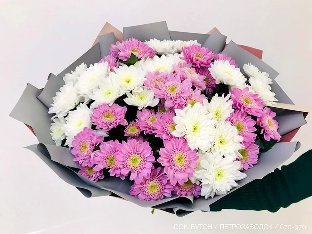 Weißer Gänseblümchen-Chrysanthemenstrauß