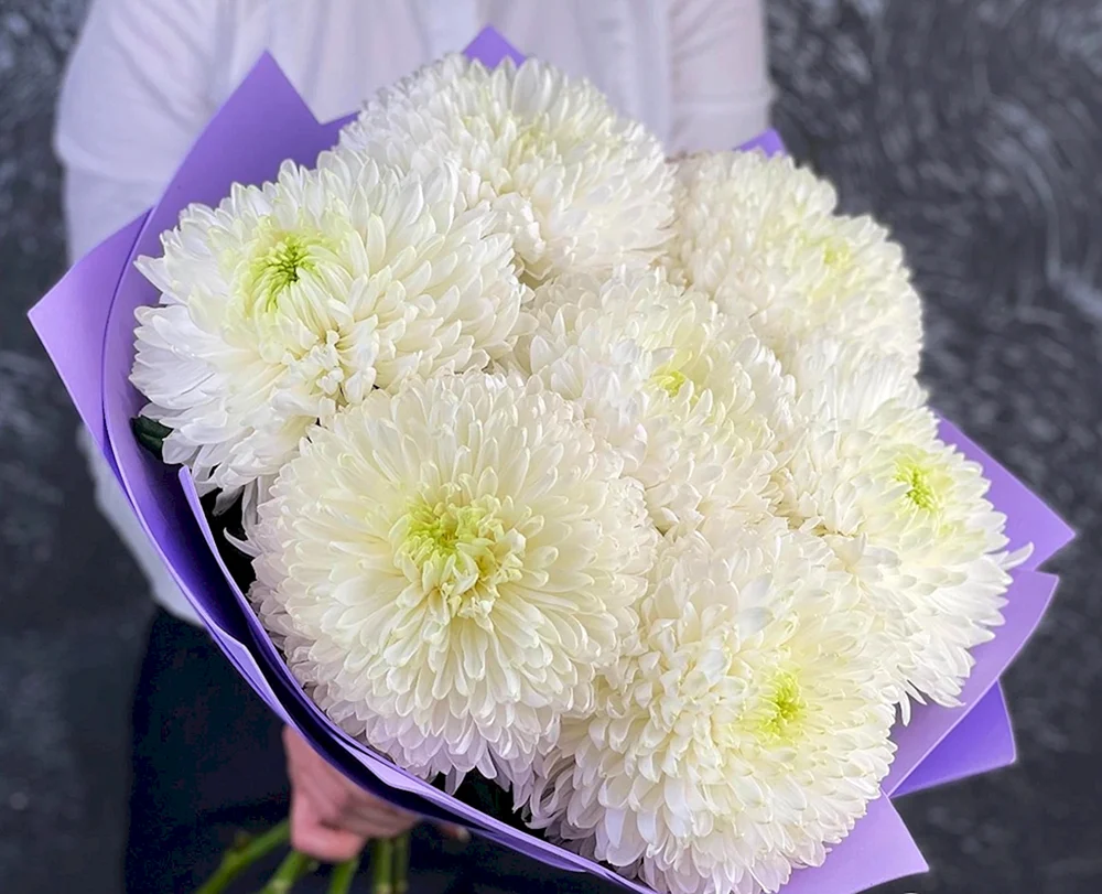 Weißer Chrysanthemenstrauß
