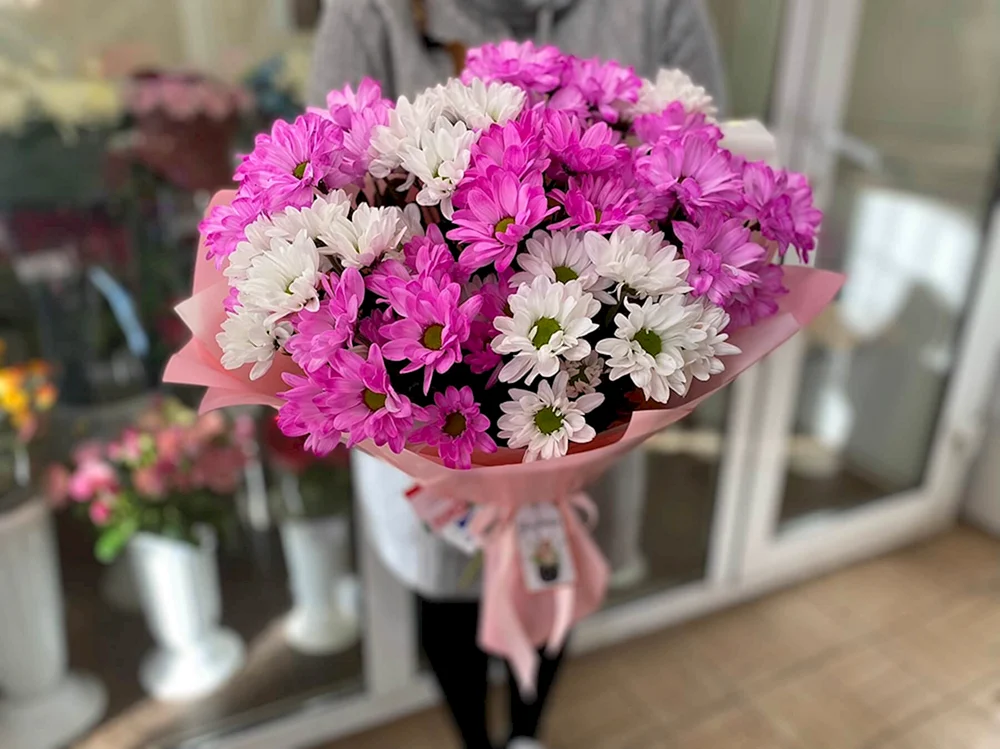 Chrysanthemenmix