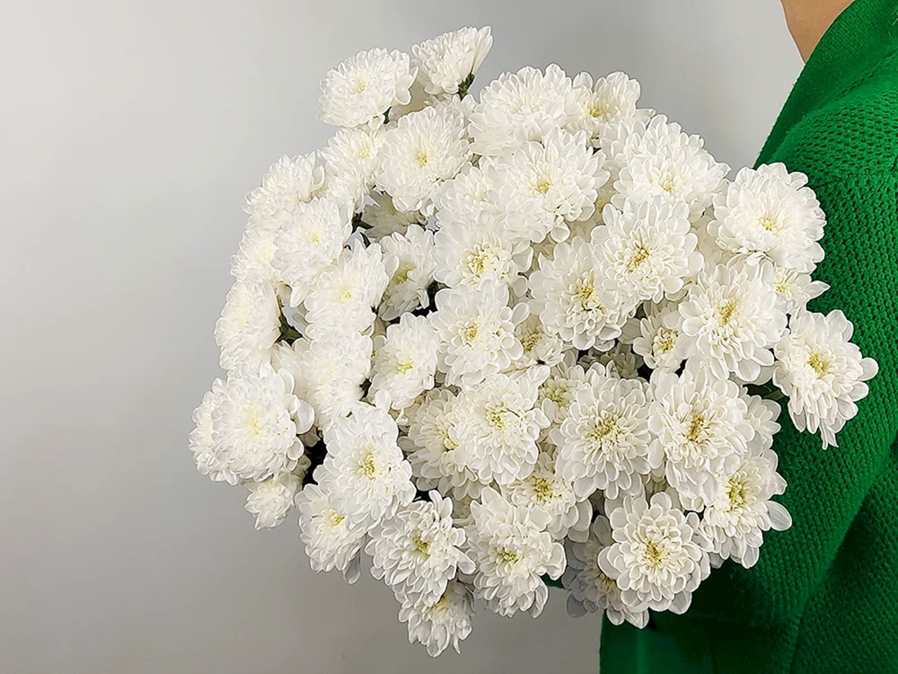 5 Strauchchrysanthemen in einem Strauß