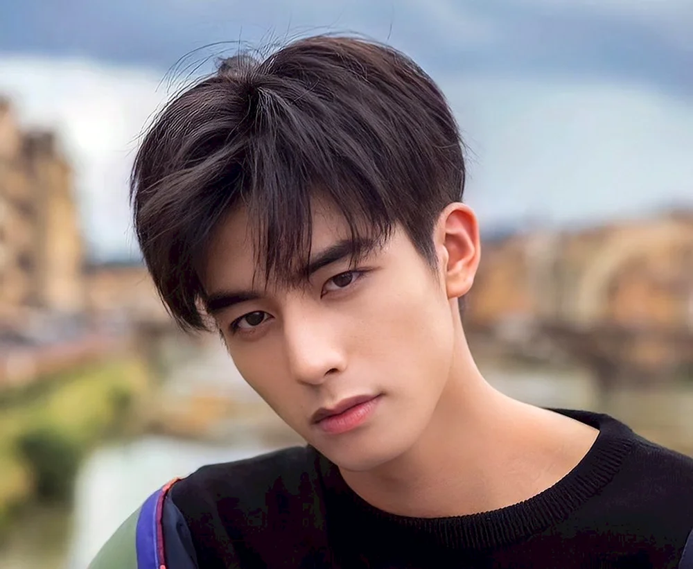 Hua Cheng Schauspieler