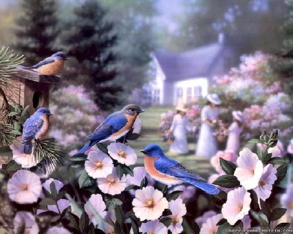 Charles White Blume und Vogel