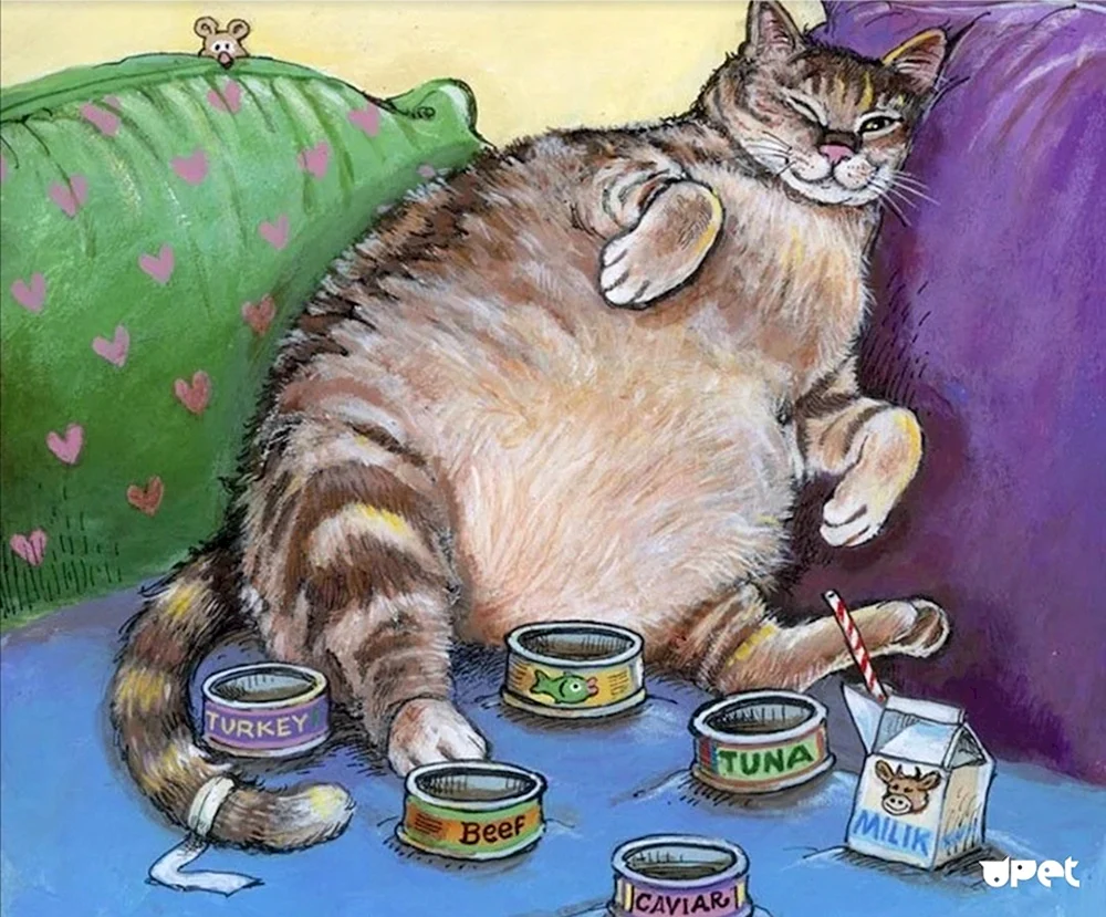 Katze mit gutem Appetit