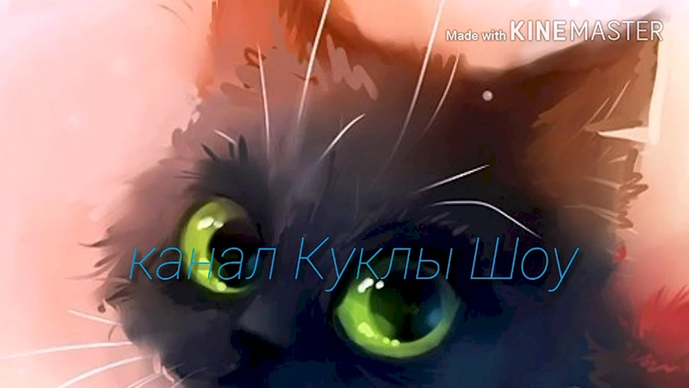 Anime neko kun