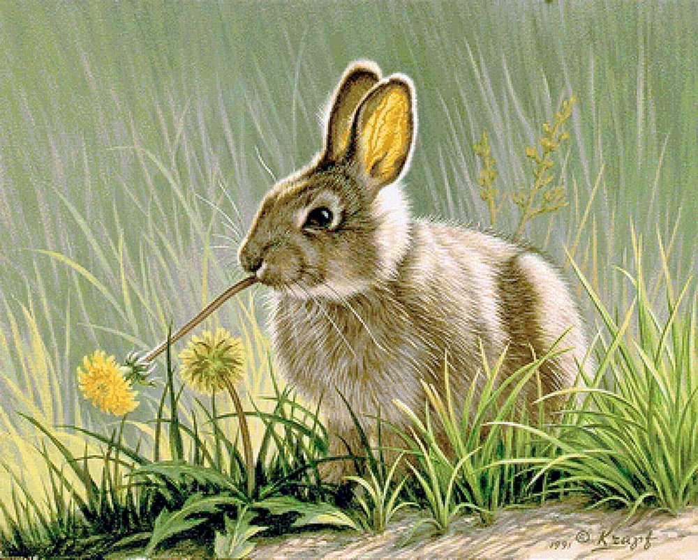 Hasenmalerei für Kinder