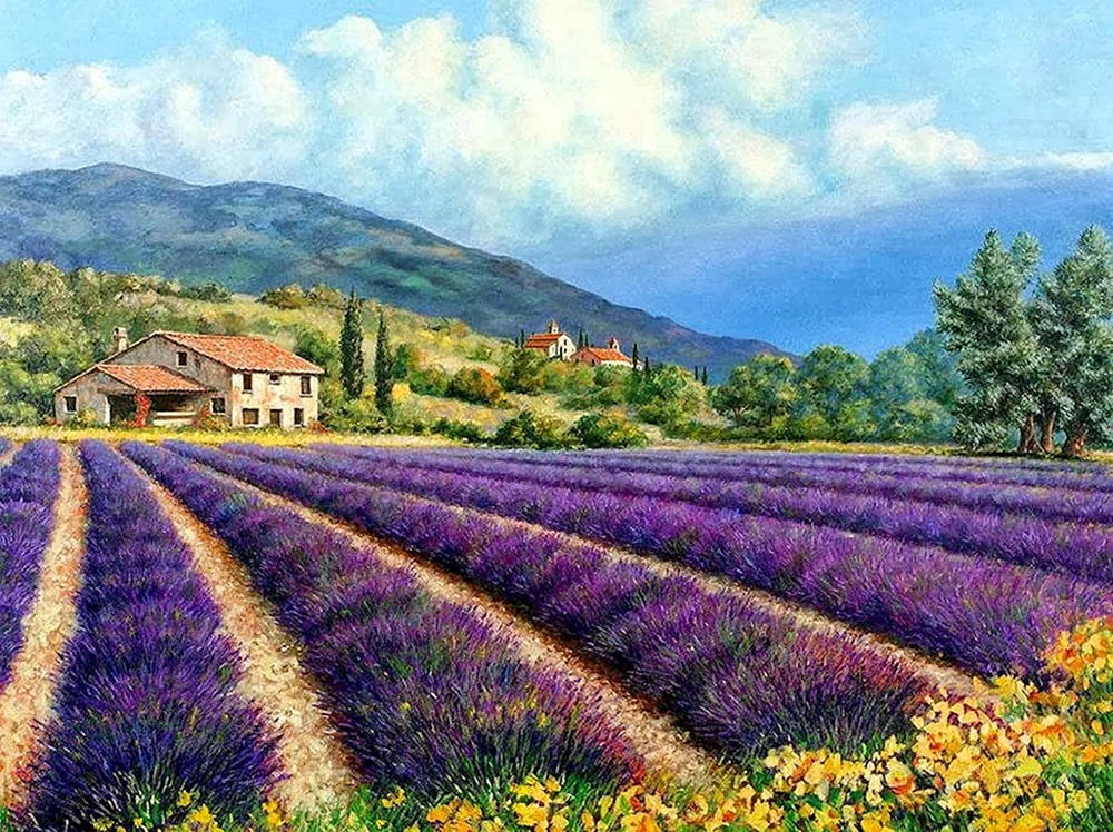 Maler Provence Michael Swanson