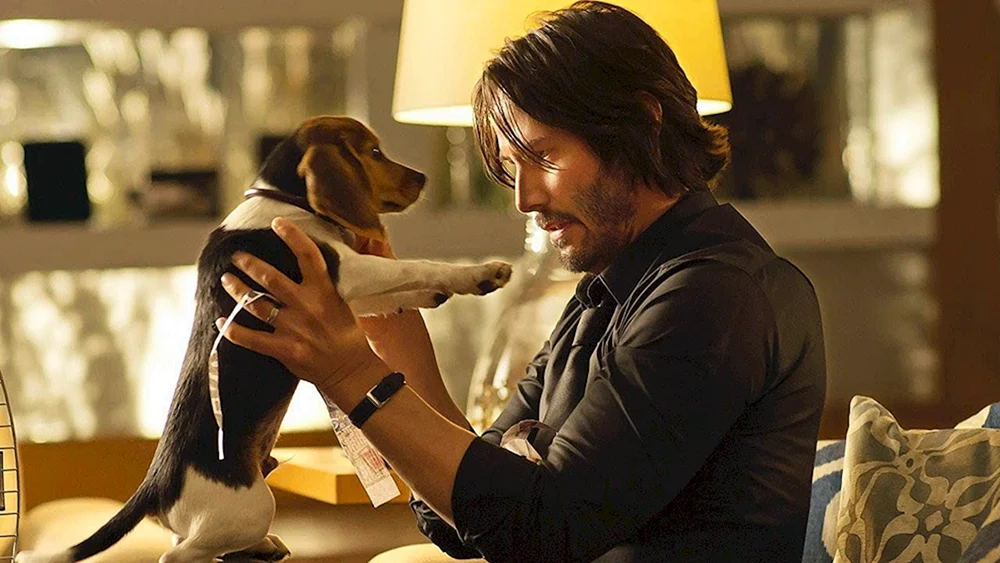 Keanu ReevesJohn Wick 3 Hund