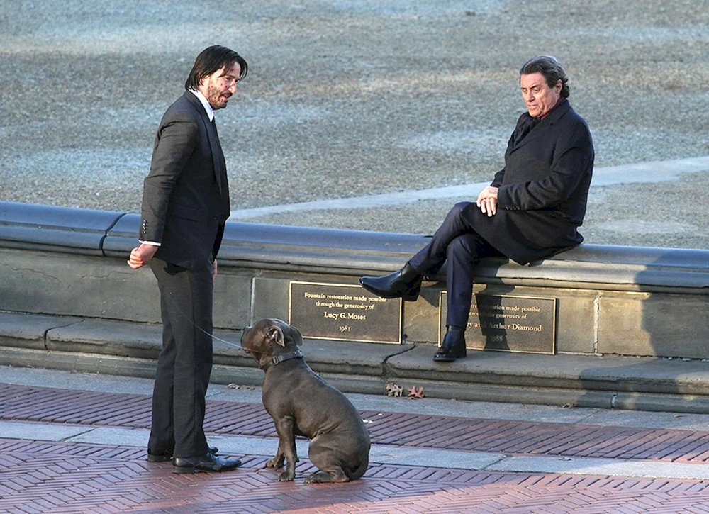 Keanu Reeves John John Wick mit HundKeanu Reeves John Wick mit HundJohn Wick mit HundJohn Wick 2 HundJohn Wick 3 HundJohn Wick 2 HundJohn Wick 4 mit HundJohn Wick 1 HundJohn Wick 1 HundJohn Wick 3 HundKeanu ReevesJohn Wick mit Hund
