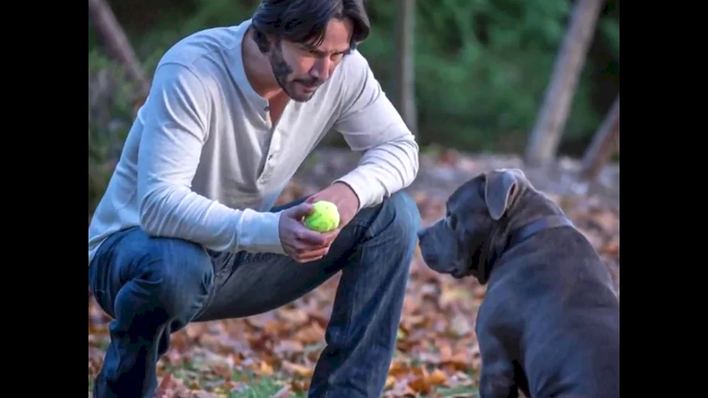 John Wick