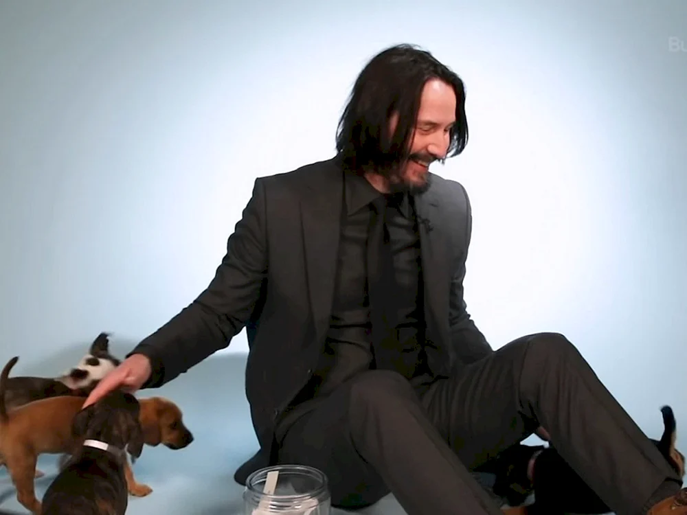 John Wick 3 Hund