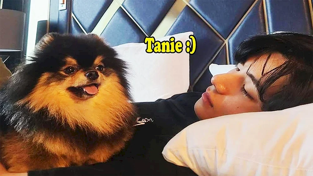 Kim Taehyun und Yongtan