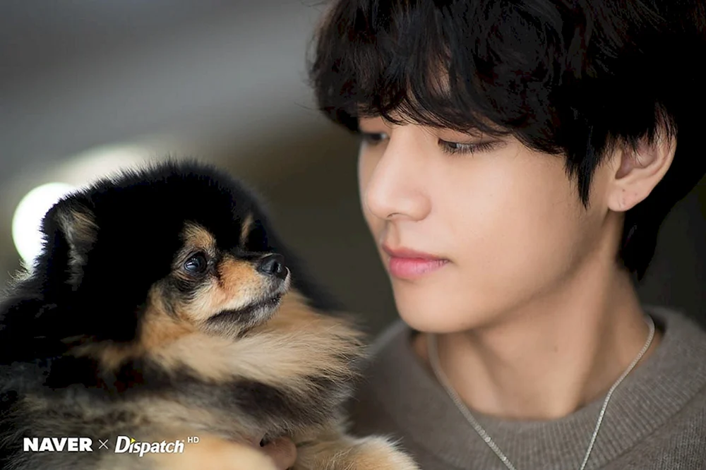 Yongtan BTS