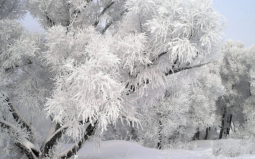 KISH manzaralari