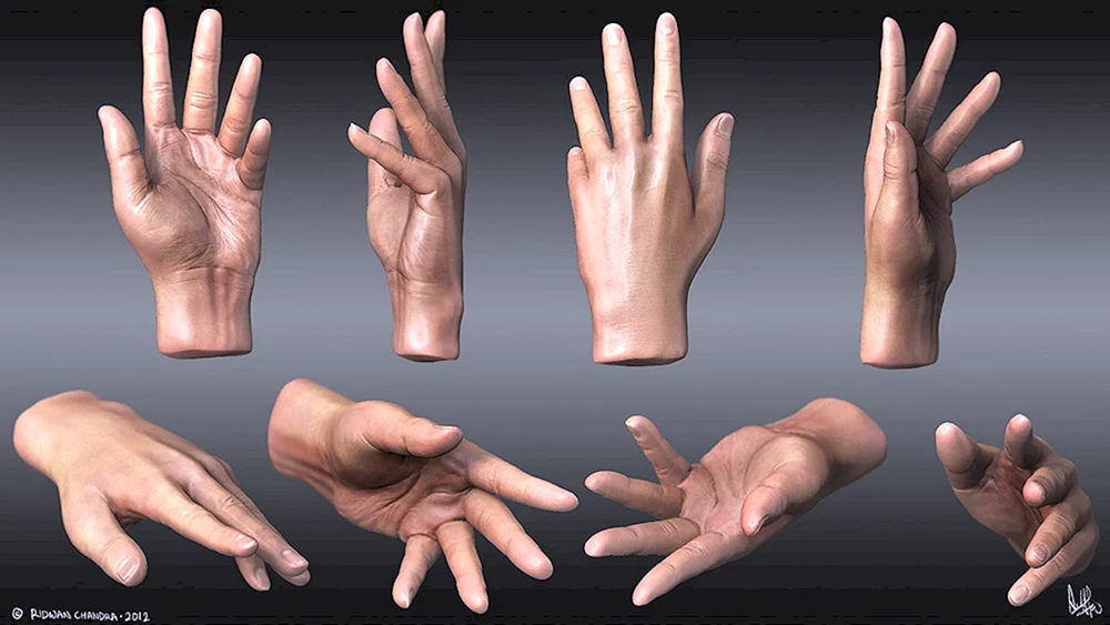 Handreferenz