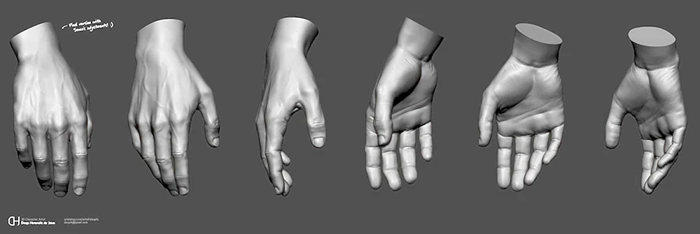 Handvorderseite Referenz