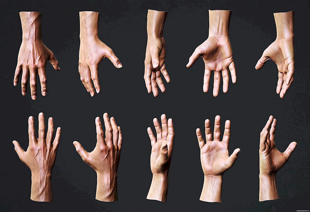 Handreferenz 3d