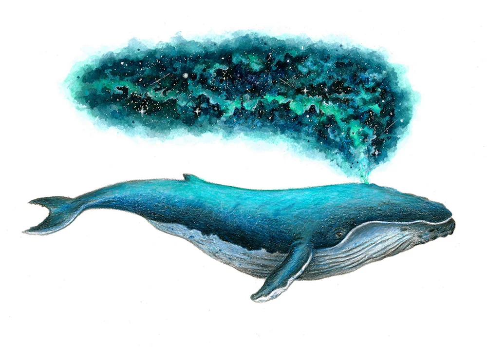 Wal Aquarell