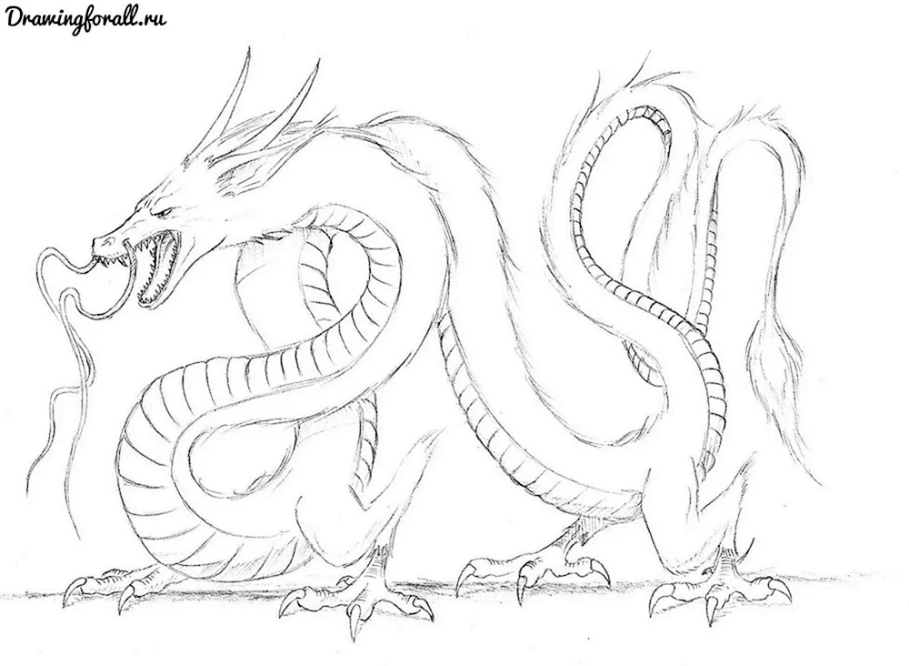 Drachen Bilder Drachen