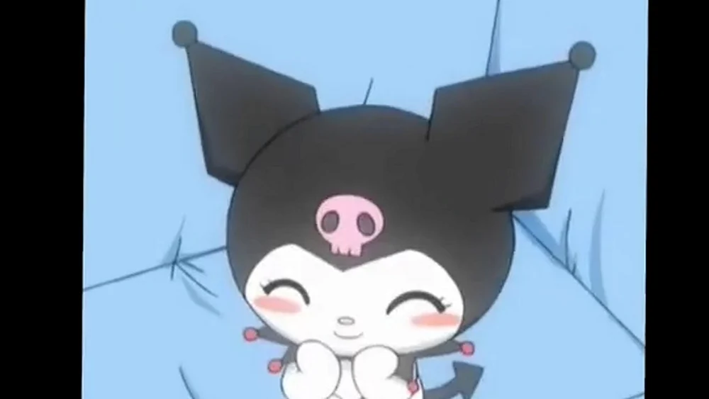 Kuromi Aesthetics.