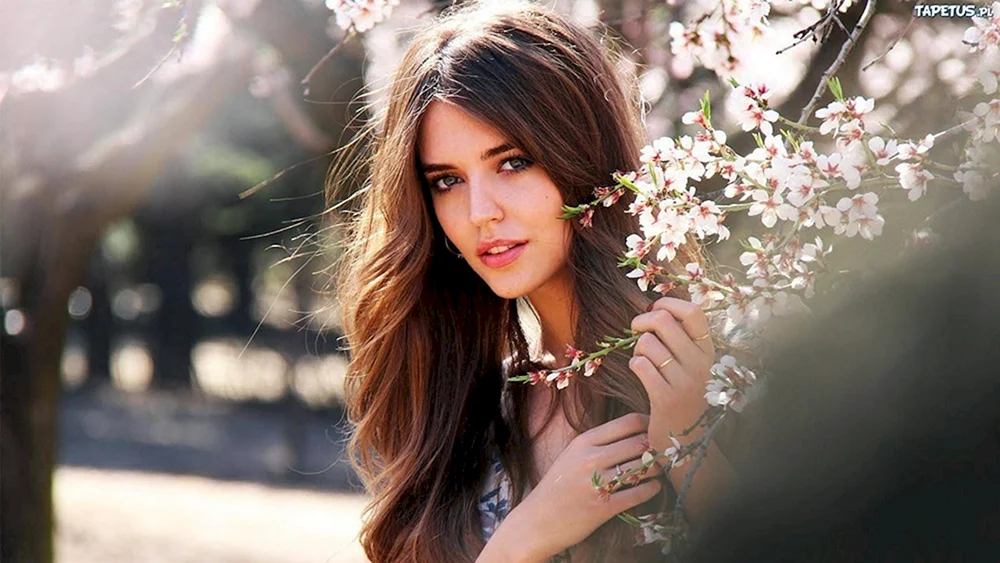 Cohen Diana Alexandrovna