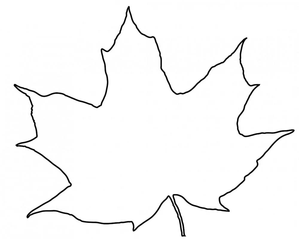 Ahornblattumriss