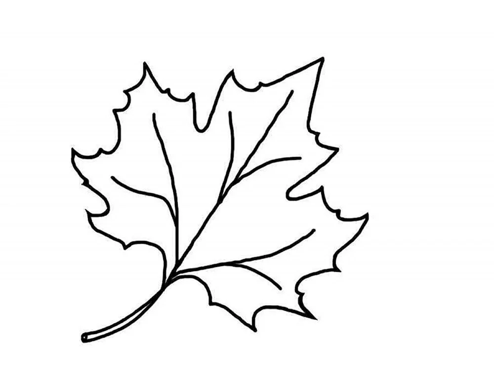 Herbstblätter