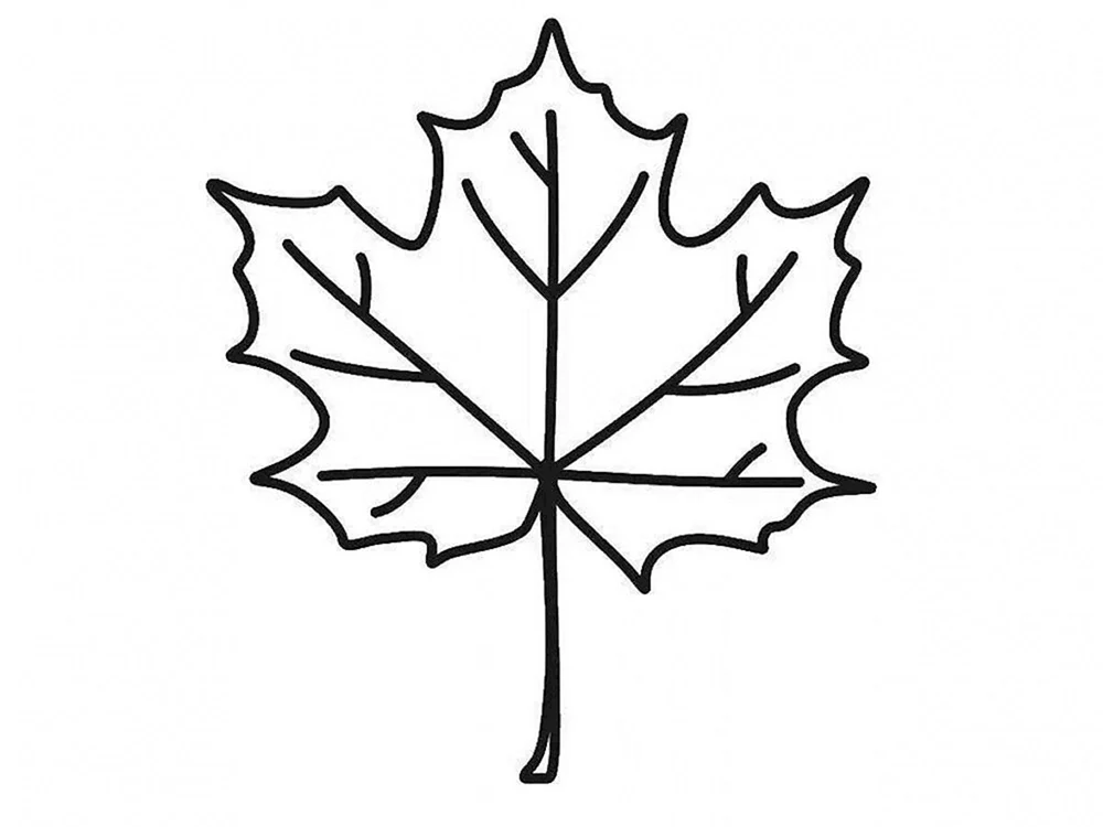 Ahornblatt ausmalen